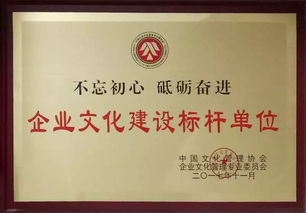 斬獲三項(xiàng)大獎(jiǎng) 用企業(yè)文化提升公司軟實(shí)力，打造市場硬品牌 ——數(shù)字文化創(chuàng)意內(nèi)容應(yīng)用服務(wù)